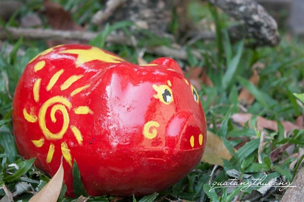Heo tiết kiệm nắng ấm