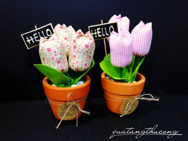 Chậu hoa tulip 3 bông