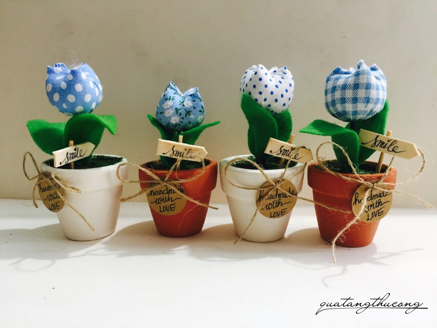 Chậu hoa Tulip nhỏ tone xanh