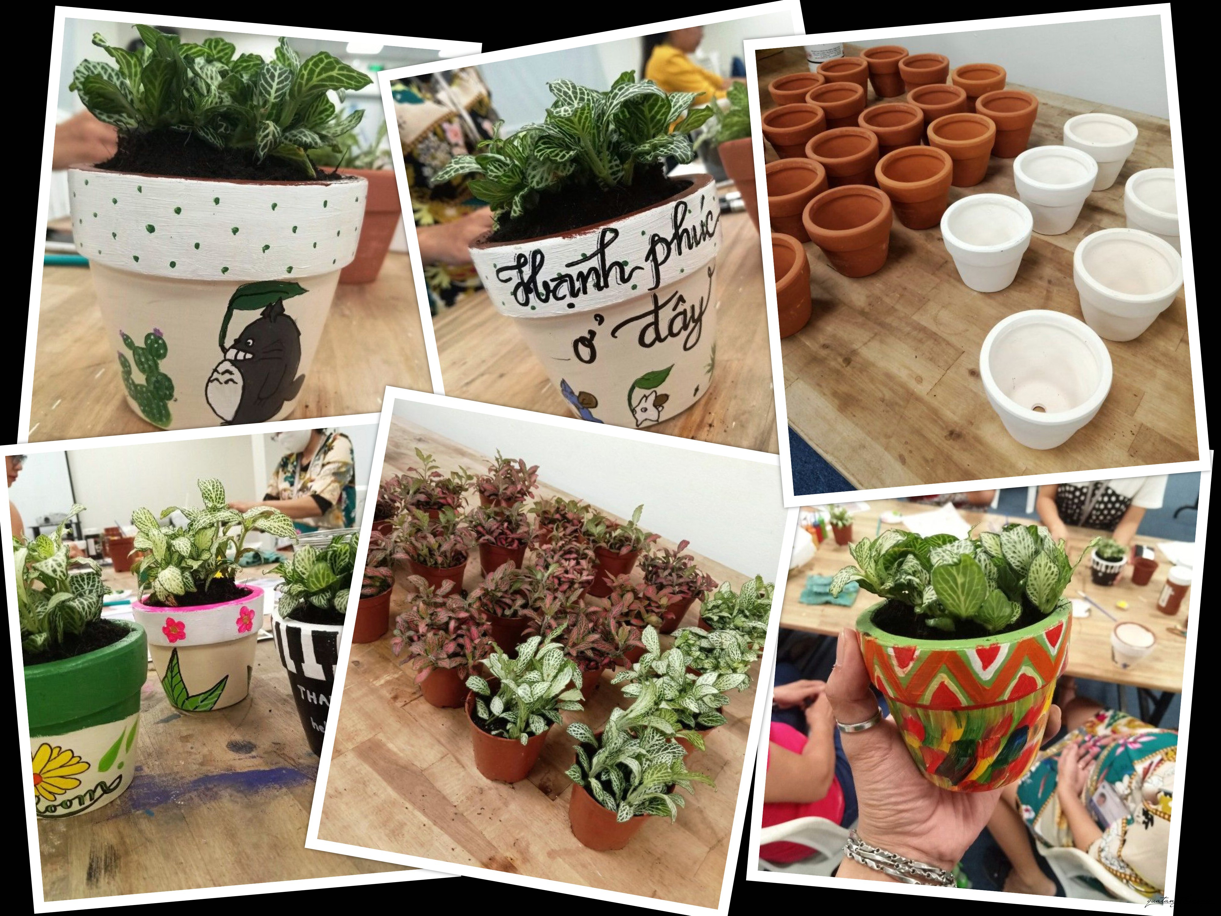 Ươm mầm xanh cùng International School Ho Chi Minh City