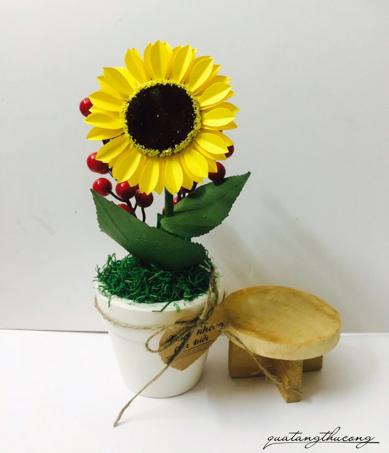 Chậu hướng dương đông đào