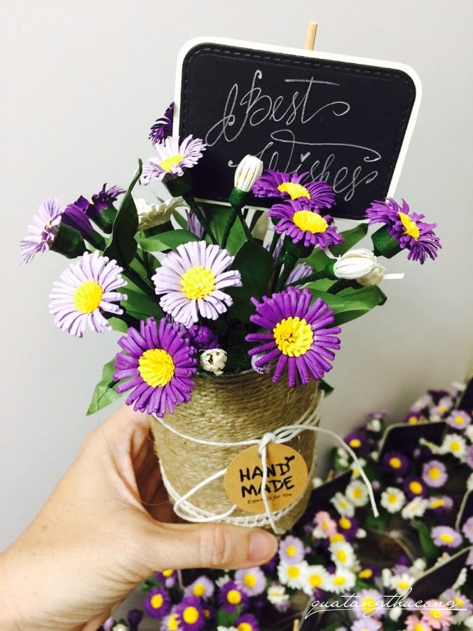 Hoa thạch thảo Best wishes