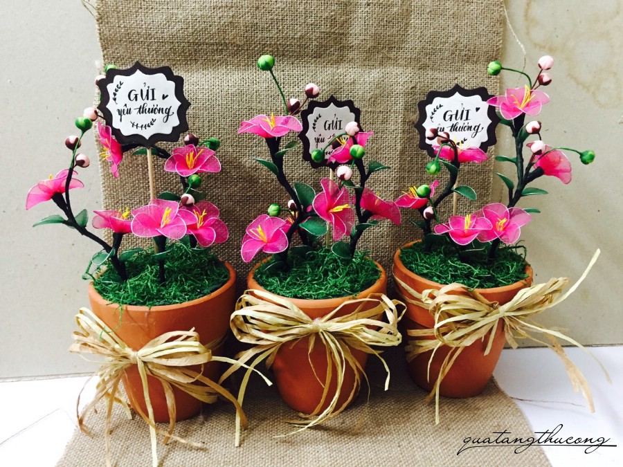 Chậu hoa đào vải voan