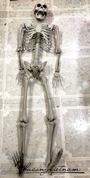 Bộ xương trang trí Halloween 170cm