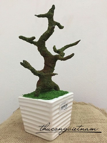Chậu Bonsai CM-08