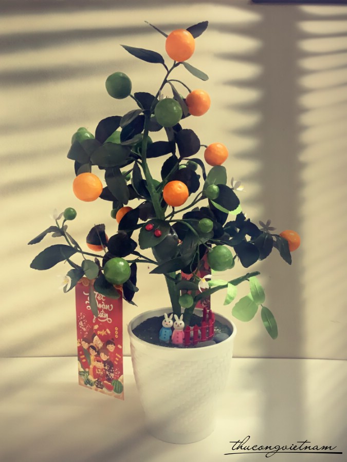 Chậu cây quất Handmade