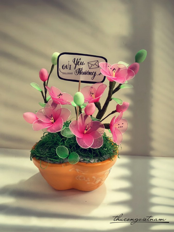 Chậu hoa voan mẫu 5
