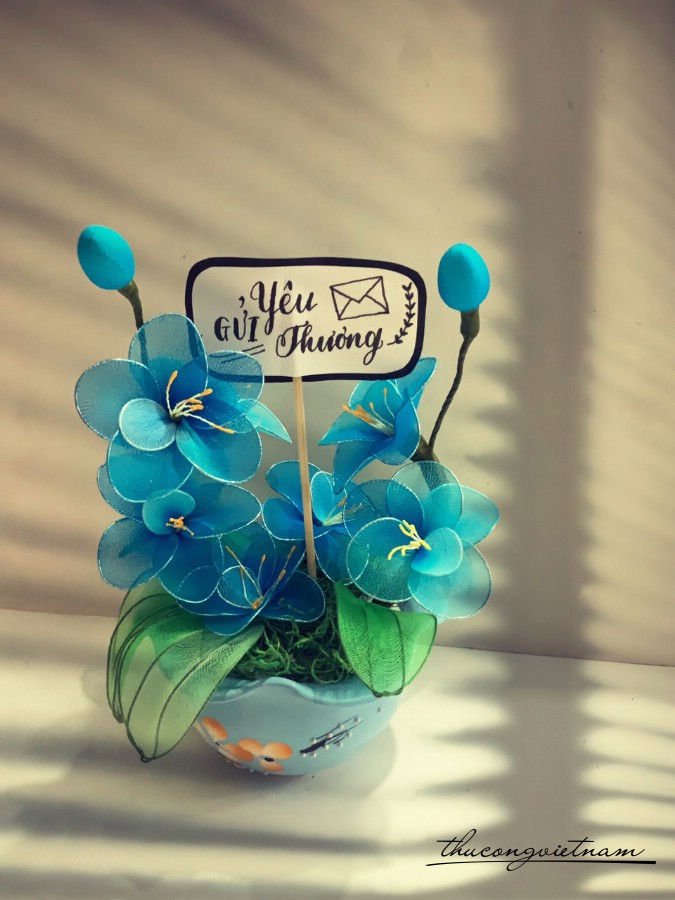 Chậu hoa voan mẫu 2